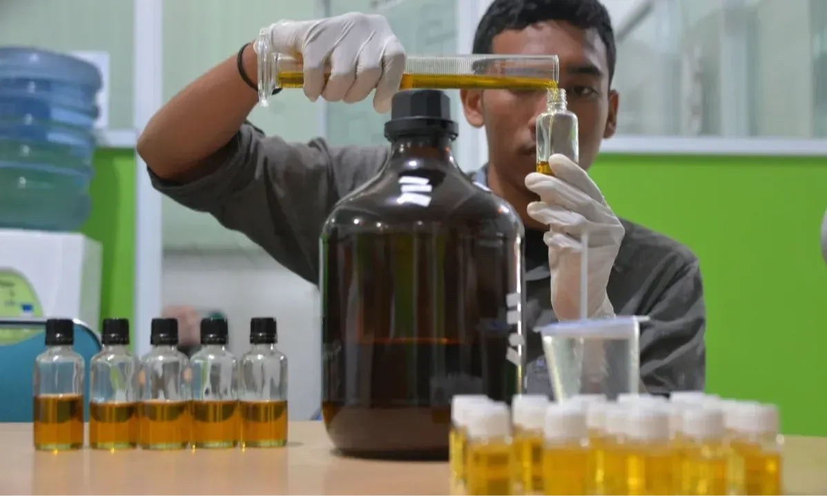 Dari Minyak Nilam Aceh ke Parfum dan Skincare Bernilai Tinggi