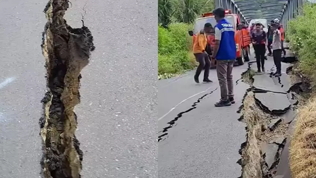 Gempa Flores Putuskan Akses Trans: Rantai Pasok Terancam