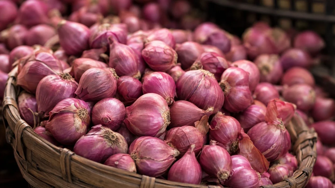 Harga Bawang Merah Turun: Peluang dan Risiko untuk Konsumen