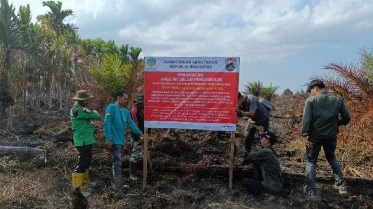 Kebakaran 25 Hektare Hutan Produksi: Alarm Keras bagi Pemegang Izin