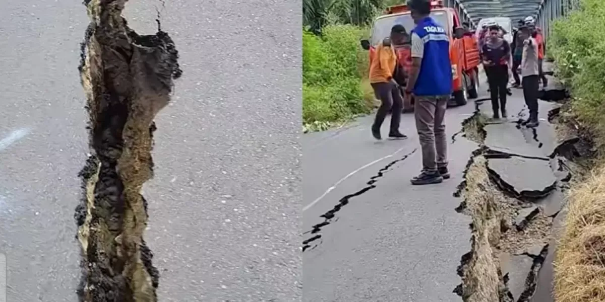 Gempa Flores Memutus Akses Trans: Ujian Berat Ekonomi NTT