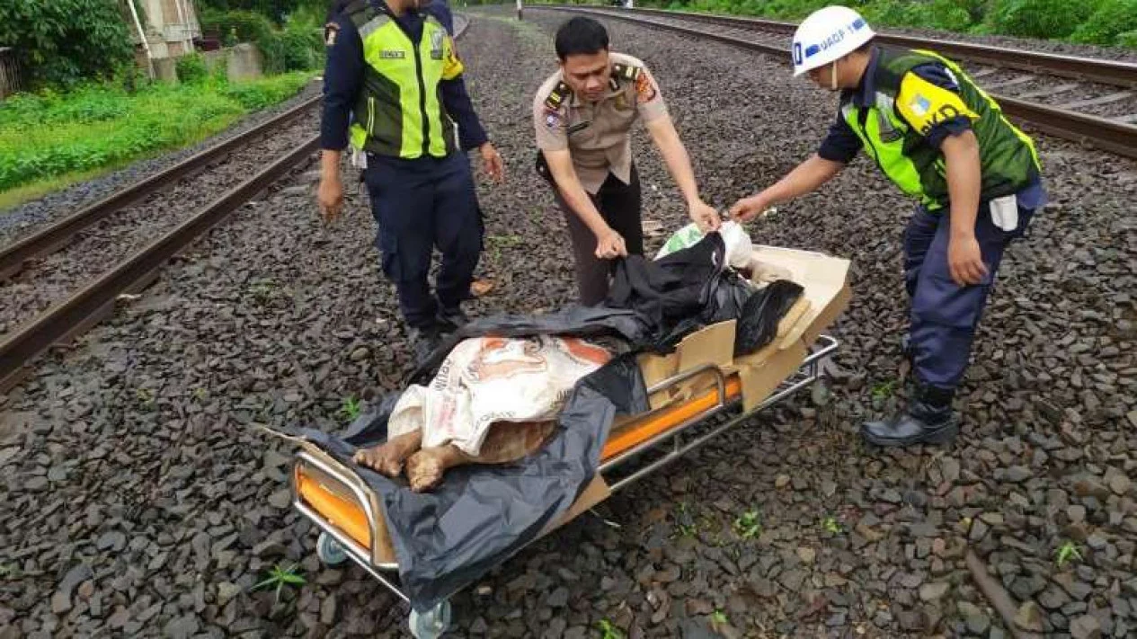 Kecelakaan Berulang di Stasiun KRL: Mengapa Pagar Peron Masih Tertunda?