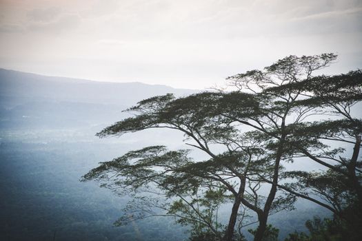 Tiga Destinasi Pegunungan untuk Slow Travel yang Menenangkan
