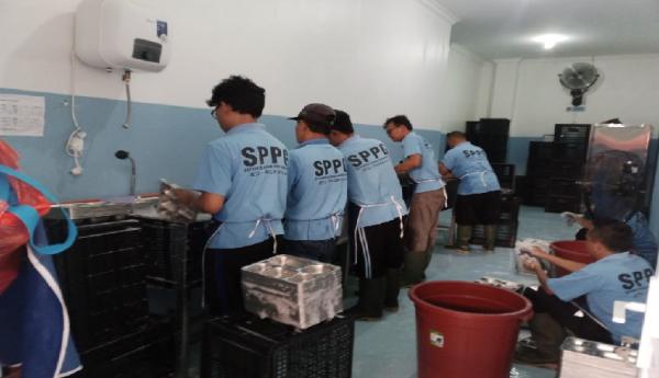 Ratusan Siswa Keracunan dari Program Makan Bergizi: Salah Sistem Distribusi Makanan Sekolah?