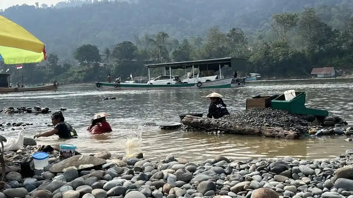 Sungai Mahakam Surut Drastis: Pangan dan Energi Tercekik