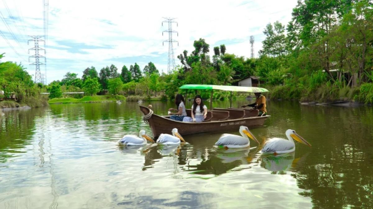 Tiket Masuk Gratis & Diskon 50%: Wisata Hemat Bulan Ini