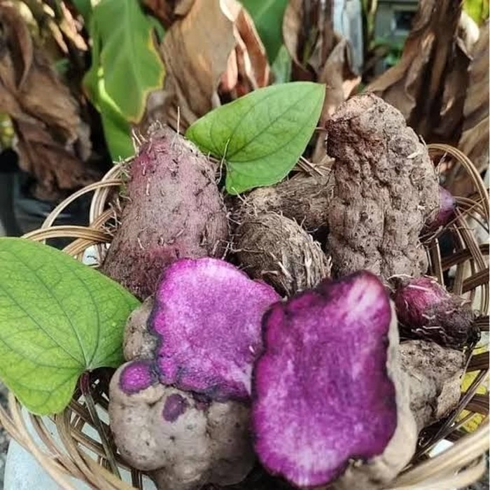 7 Pangan Lokal Bergizi Tinggi yang Terlupakan