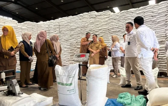 Cadangan Beras Pemerintah Digas: Mampukah Menahan Gejolak Harga di Tengah El Nino?
