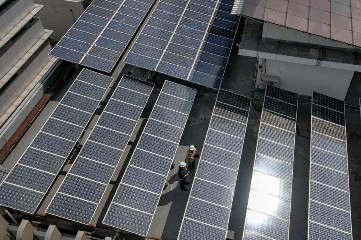 Investasi Hijau Jerman: Jalan Pintas Menuju Transisi Energi?