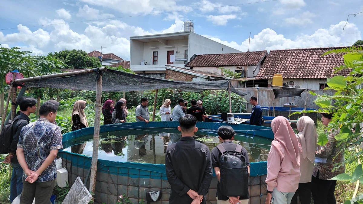 Aquaponik IoT di Kampus dan Pesantren: Latih Mahasiswa, Kuatkan Pangan Desa