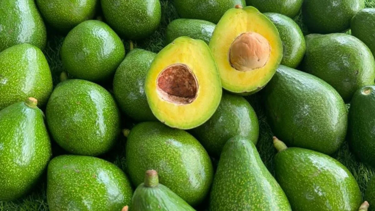 Panduan Lengkap Memilih dan Menyimpan Bahan Makanan di Rumah
