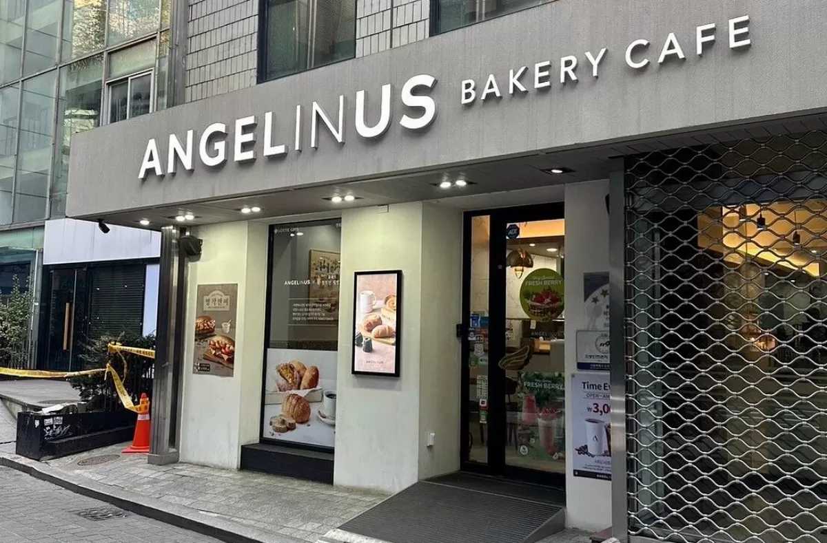 Fibreno dan Angel in Us: Dua Wajah Baru Ekspansi Retail Korea