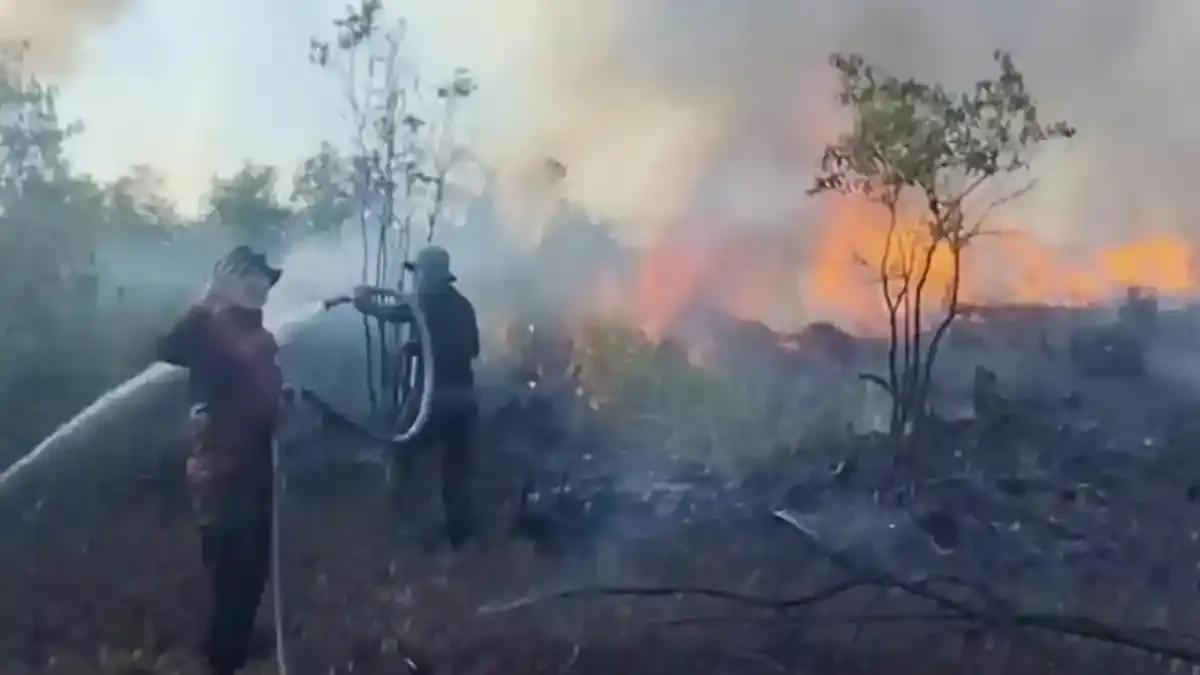 Cara Melindungi Kesehatan Saat Kualitas Udara Menurun