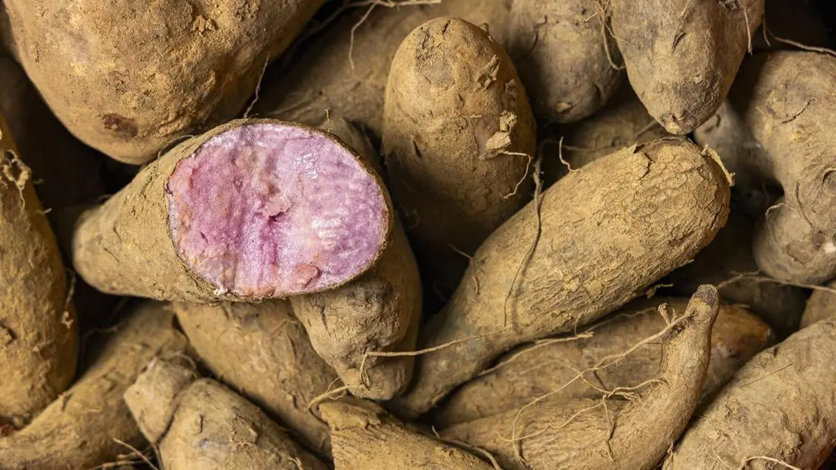 Ube dan Ubi Ungu: Mana Ingredien Ungu Terbaik untuk Masakanmu?