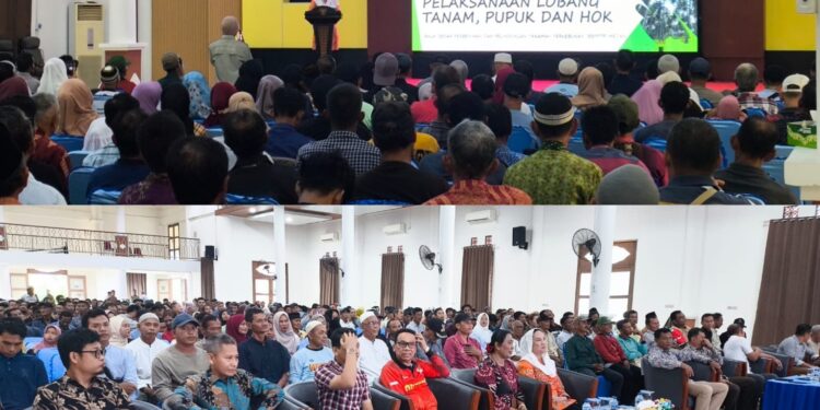 Rp1,48 Miliar Bibit Kelapa Natuna: Siapa Sebenarnya Diuntungkan?