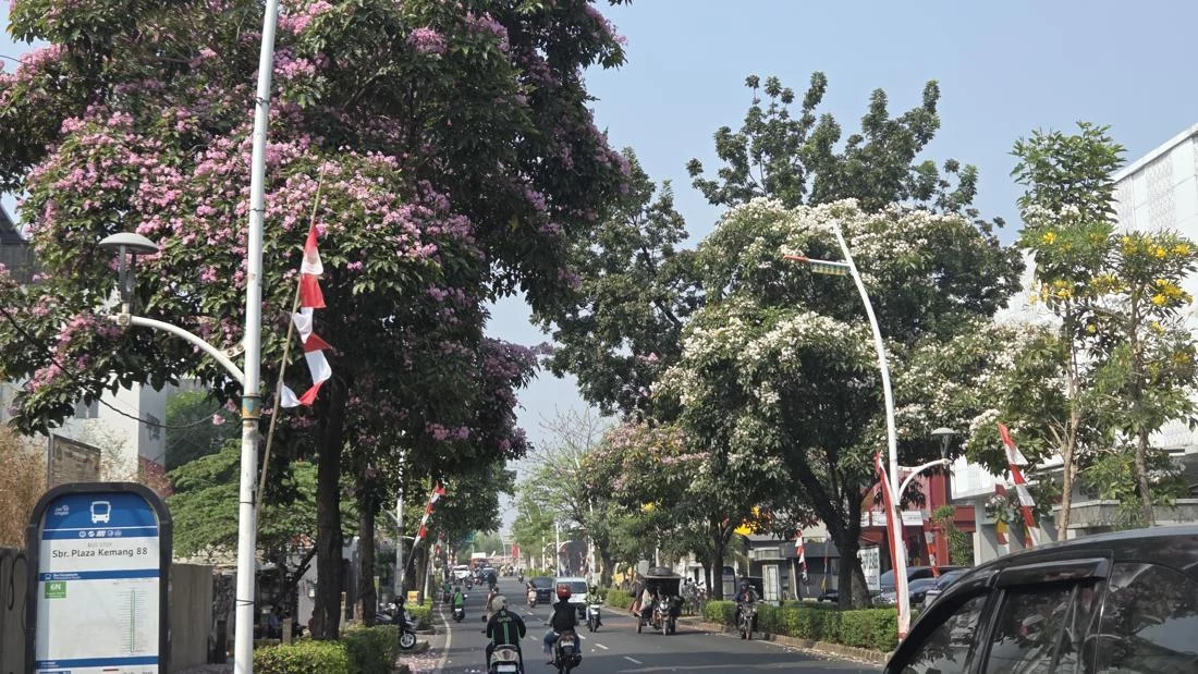 5 Destinasi Foto Paling Viral: Dari Tabebuya Kemang hingga Kopitiam Bergaya Singapura