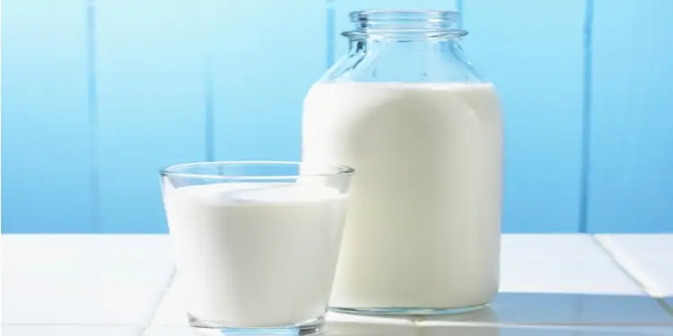Panduan Nutrisi Lengkap untuk Tulang Kuat Sepanjang Usia