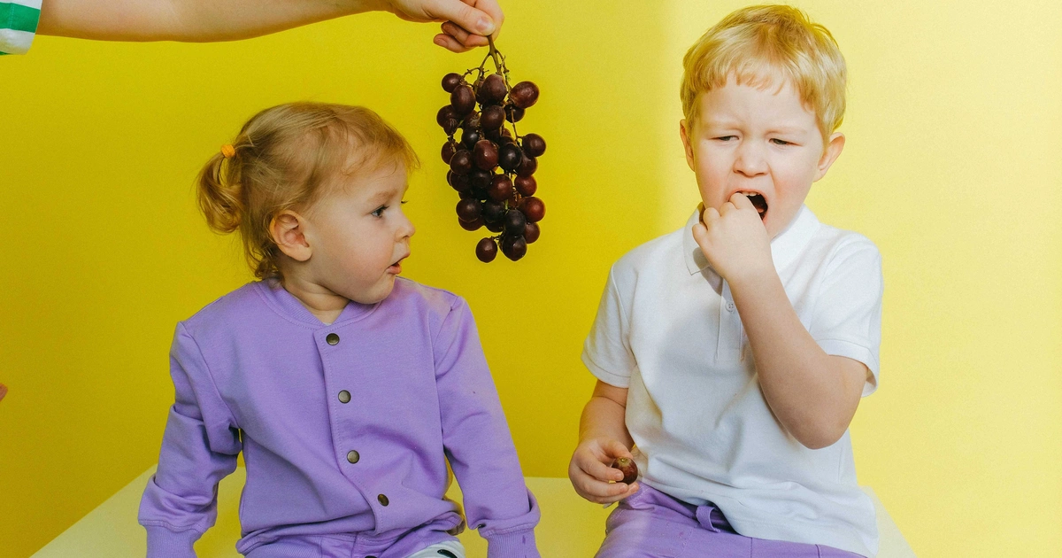Bekal Anak Tidak Dimakan? Strategi Cerdas untuk Picky Eater