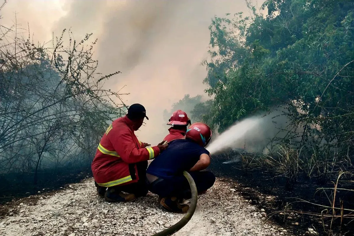 Melampaui Saling Tuding: Kerangka Kerja Sama Regional Atasi Asap