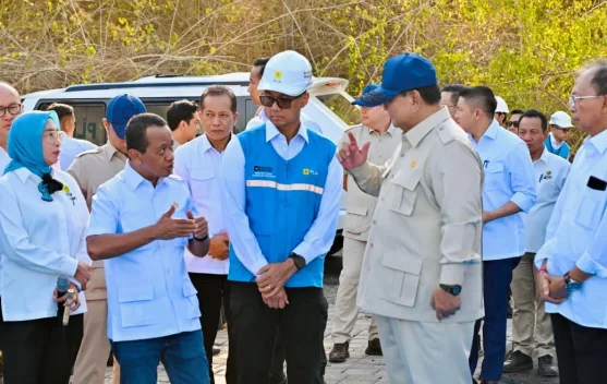 Target 100 GWp Energi Surya dalam Tiga Tahun: Ambisi dan Risiko
