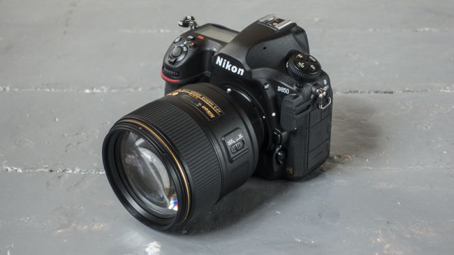 Mengapa Fotografer Satwa Liar Masih Memilih DSLR Lama