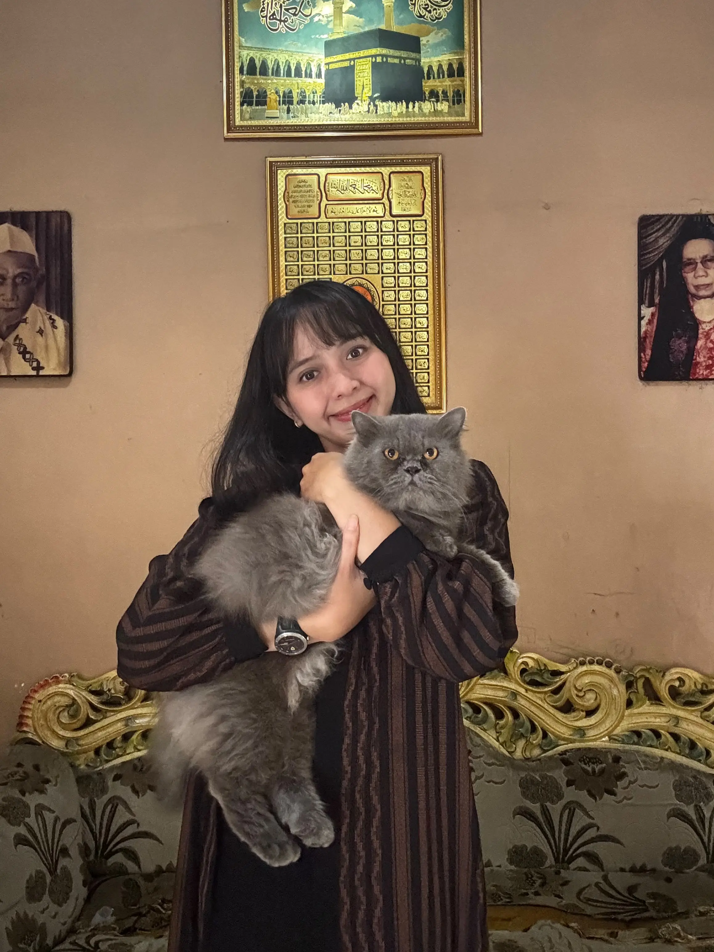 Panduan Kesehatan Kucing Komprehensif di Rumah