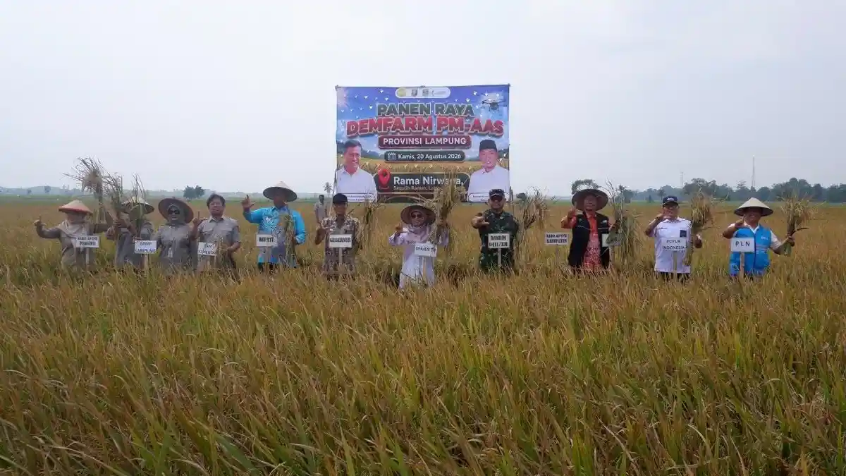 PLN Dorong Pertanian Modern dengan Sistem Irigasi Otomatis