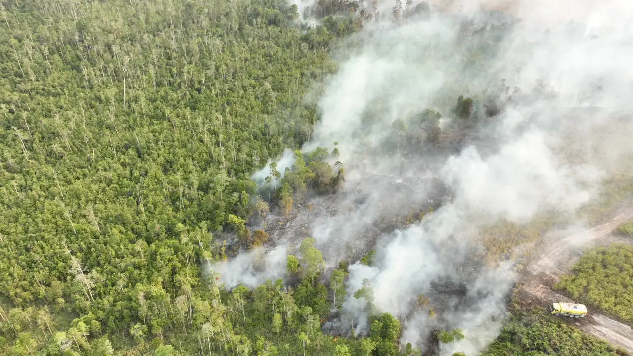 Kebakaran Hutan Kalimantan, Kabut Asap, dan Lumpuhnya Sekolah di Sarawak