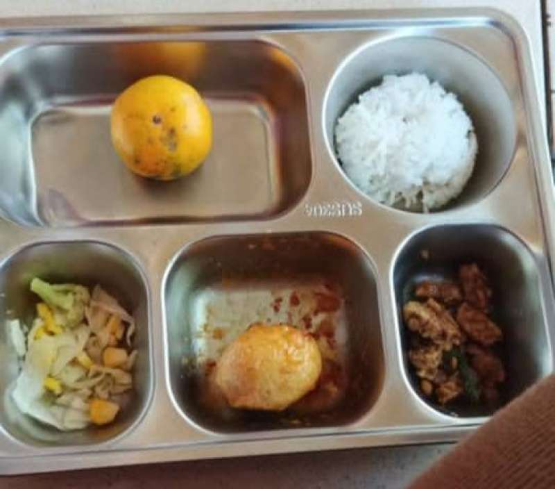 Menu Makan Bergizi Gratis Bermasalah dan Hak Orang Tua Mengawasi