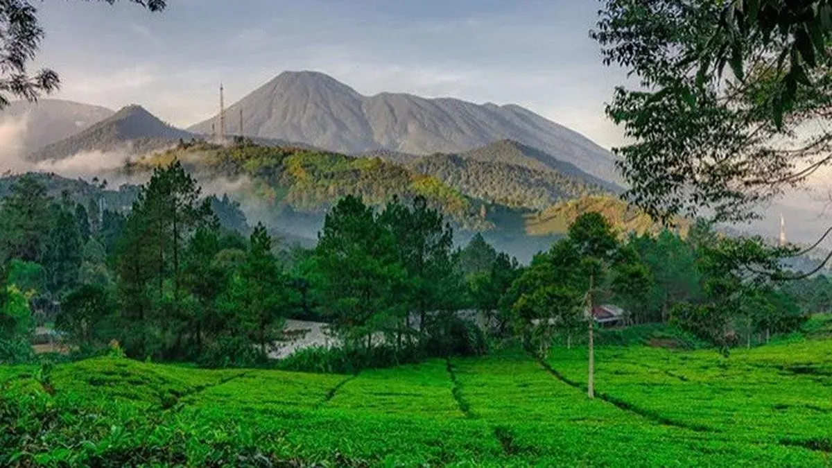 Investasi Infrastruktur Wisata Berkelanjutan: Atraksi Ikonik, Alam Pulih, UMKM Tumbuh