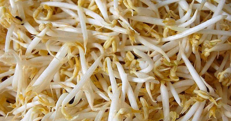 Panduan Lengkap Menyimpan 5 Bahan Dapur Penting agar Tetap Segar