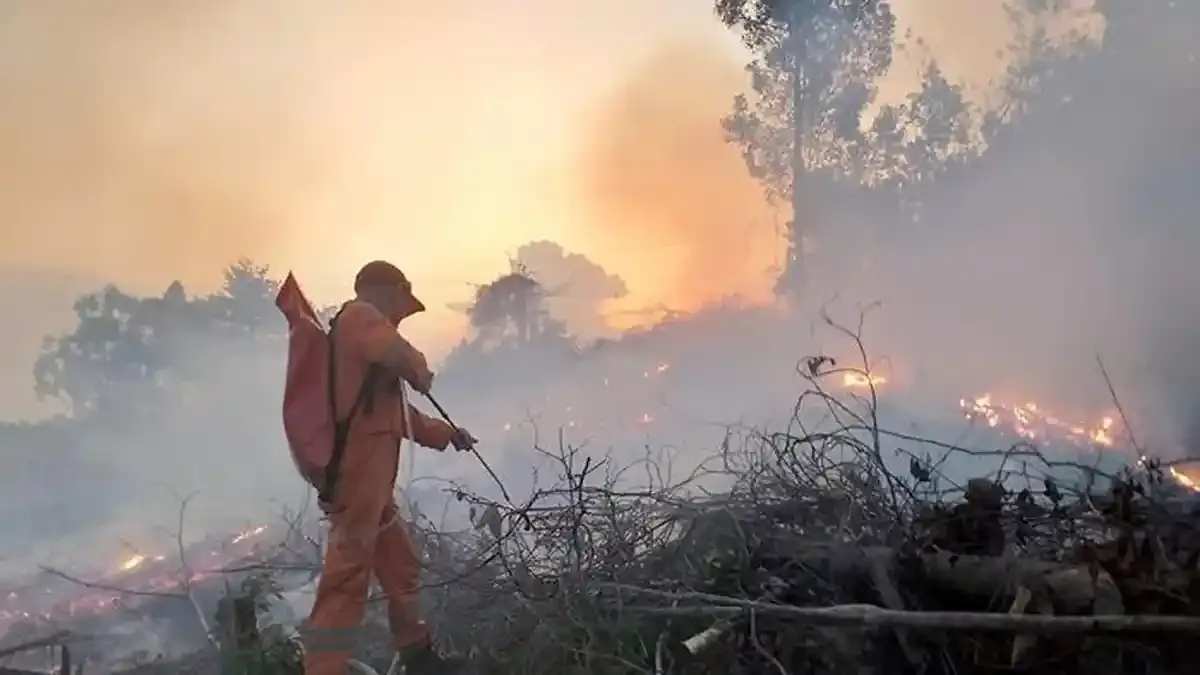 Kabut Asap Paksa Sekolah Beralih ke Belajar dari Rumah
