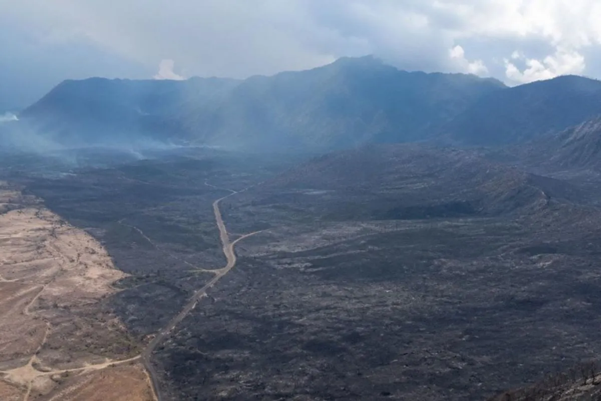 Ketika Kebakaran Hutan Memaksa Sekolah Tutup