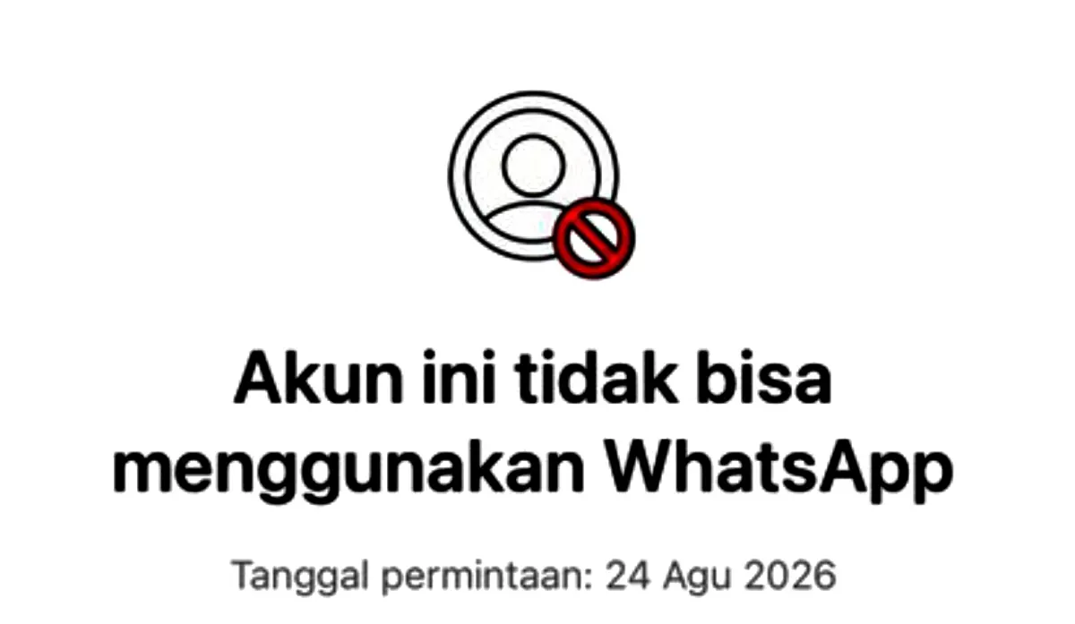 Akun WhatsApp Kena Review 24 Jam? Ini Penyebab dan Cara Banding