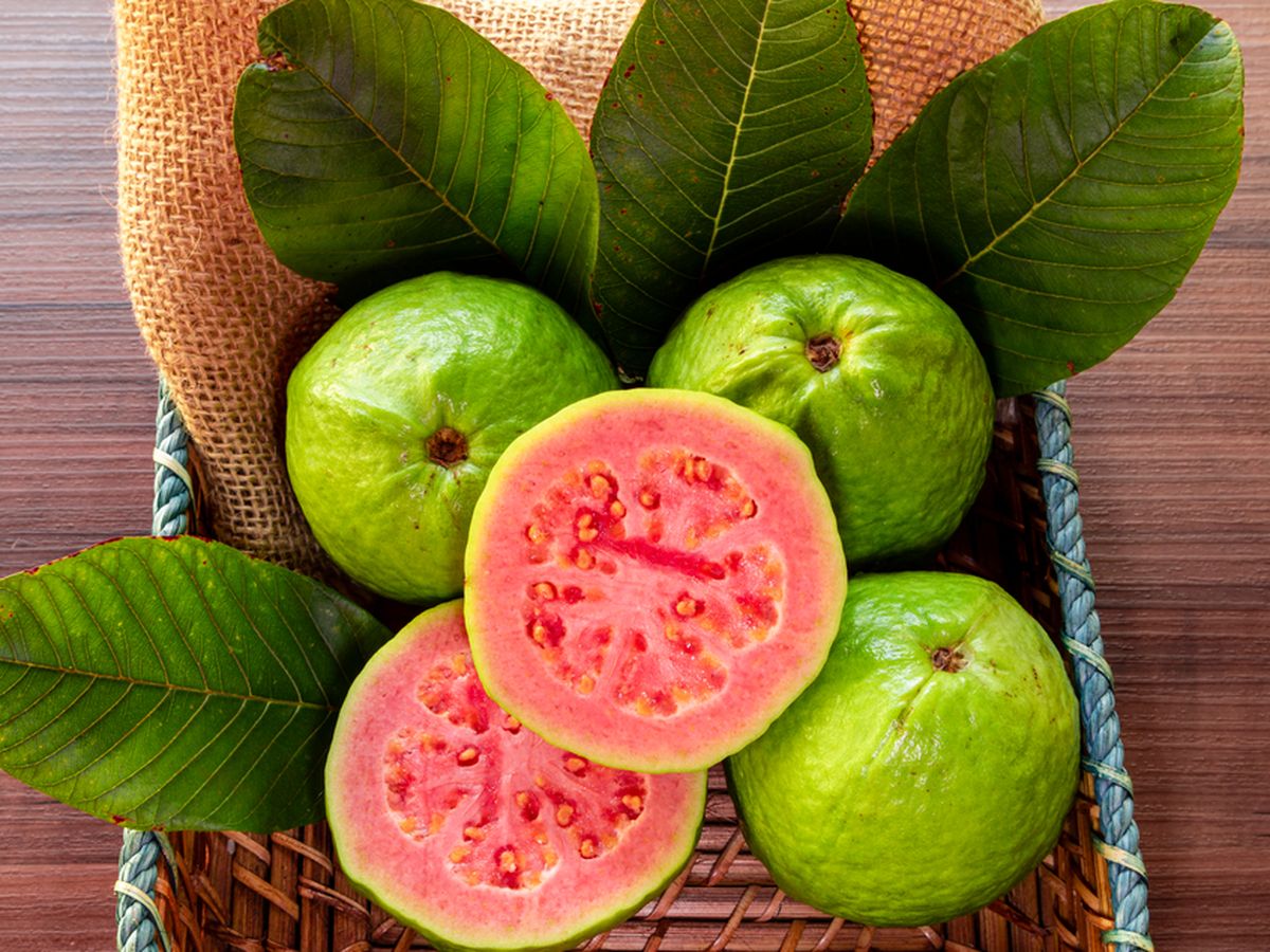 Bayam Merah, Jambu Biji, dan Bit: Mana Paling Tepat untuk Kebutuhan Keluarga?