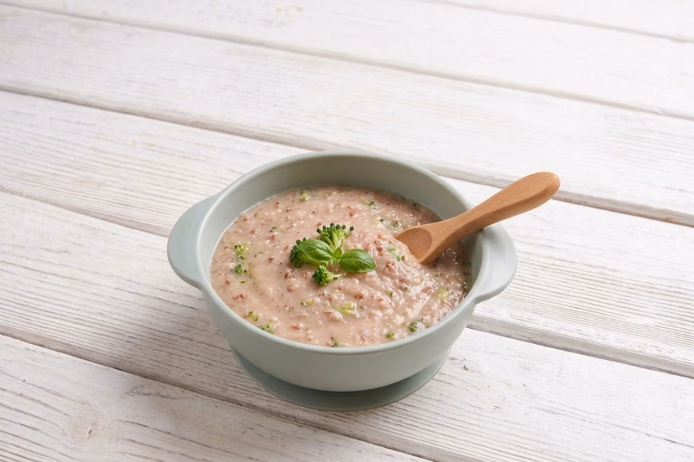 Resep MPASI Bergizi: Beras Merah, Protein, dan DHA
