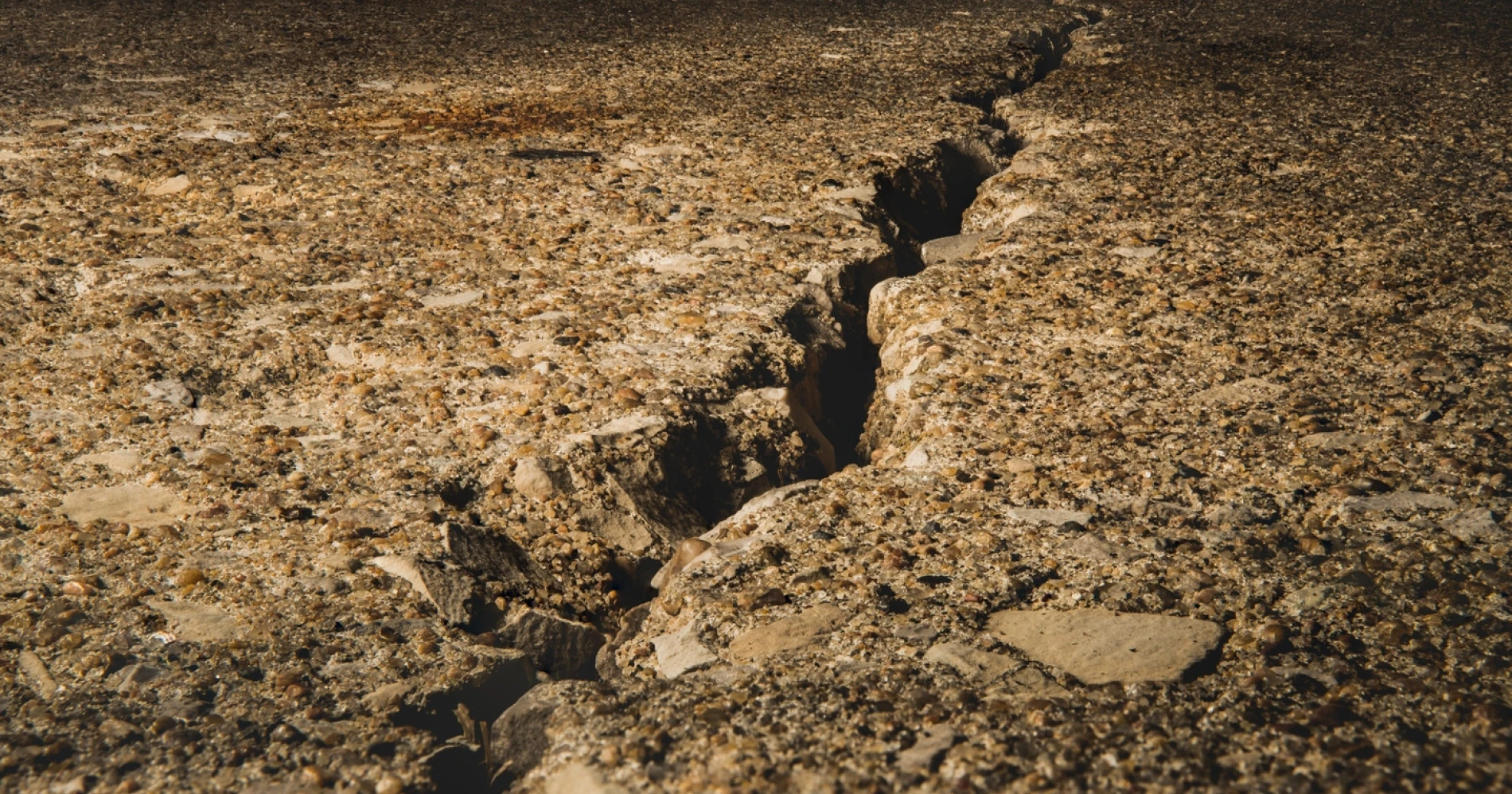 Peran NGO Mempercepat Respons Bencana Gempa di Flores