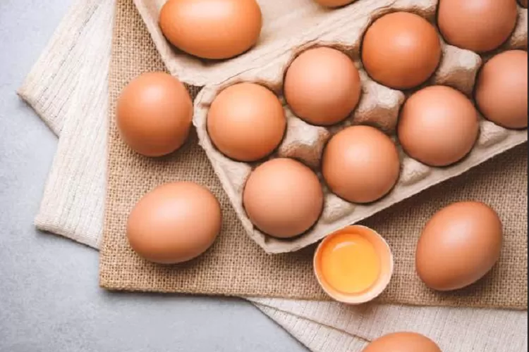 Telur Ayam, Bebek, atau Puyuh: Pilihan Terbaik untuk Keluarga