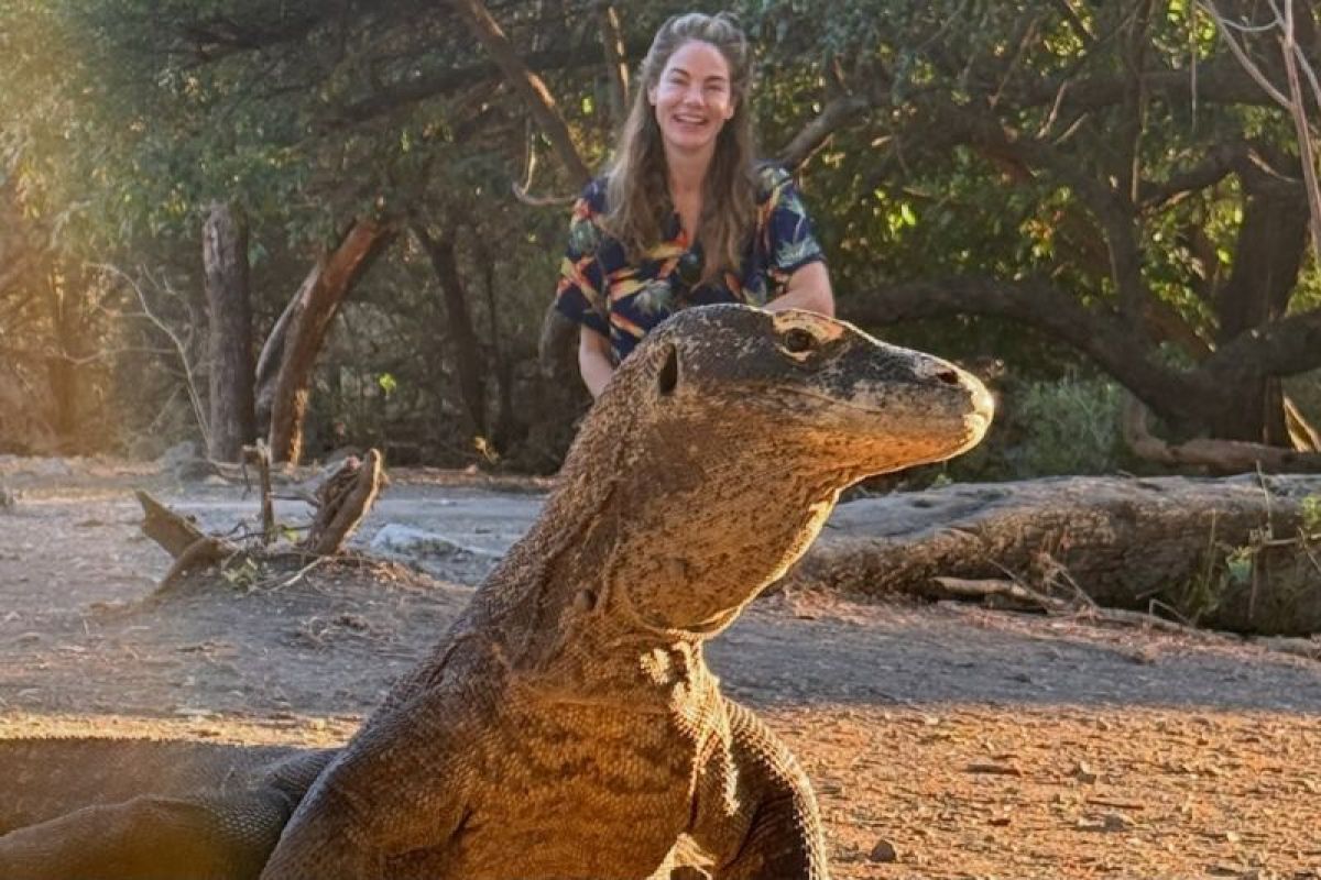 Michelle Monaghan Terpesona Komodo: Momentum Emas Promosi Wisata