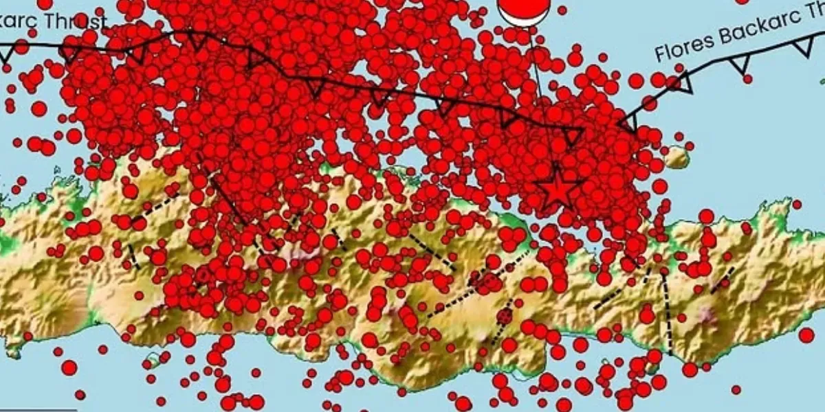 Ribuan Gempa Susulan Flores: Kekuatan Turun, Risiko Tetap Tinggi