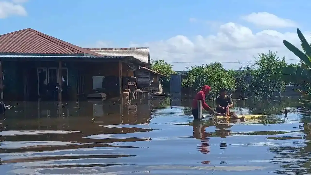 Proyek Infrastruktur Besar dan Ancaman Senyap atas Ekosistem Alami