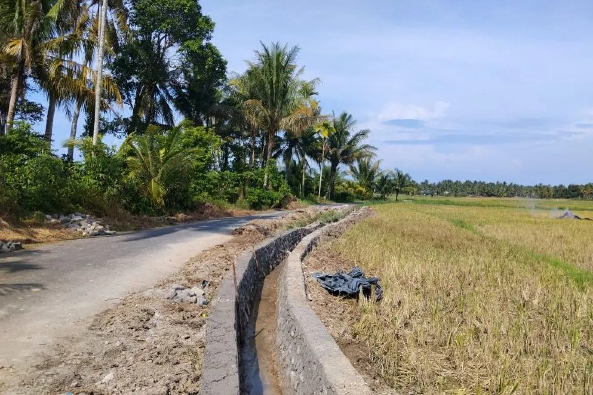 Pemulihan Irigasi Pascabencana di Sumatra untuk Ketahanan Pangan