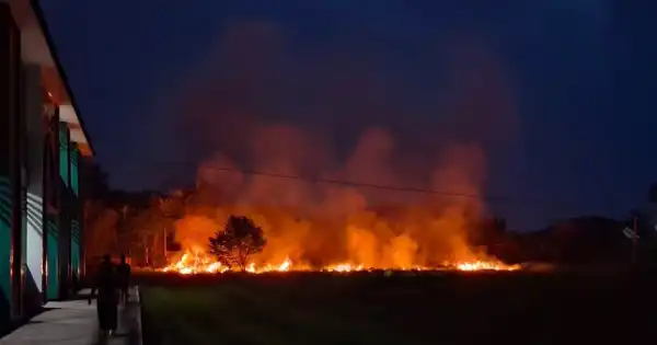 Titik Panas Sumatera Meledak 2.051 Lokasi: Alarm Serius Kebakaran Lahan