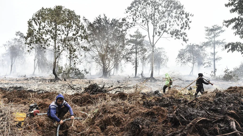 Asap Kebakaran Hutan Ancam Paru-Paru Anak: Ini Langkah Nyata Orangtua