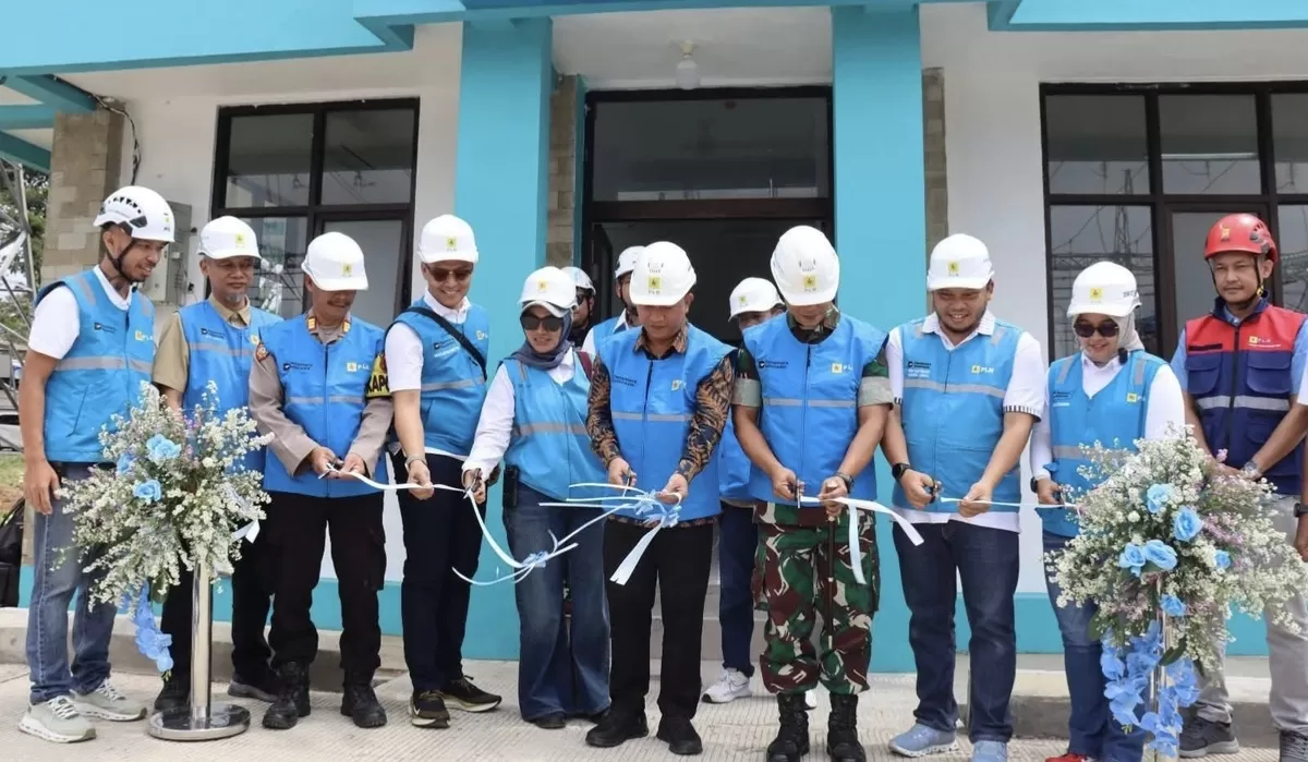 Jaringan Listrik Pedesaan: Saatnya PLN Mempercepat Elektrifikasi Daerah Terpencil