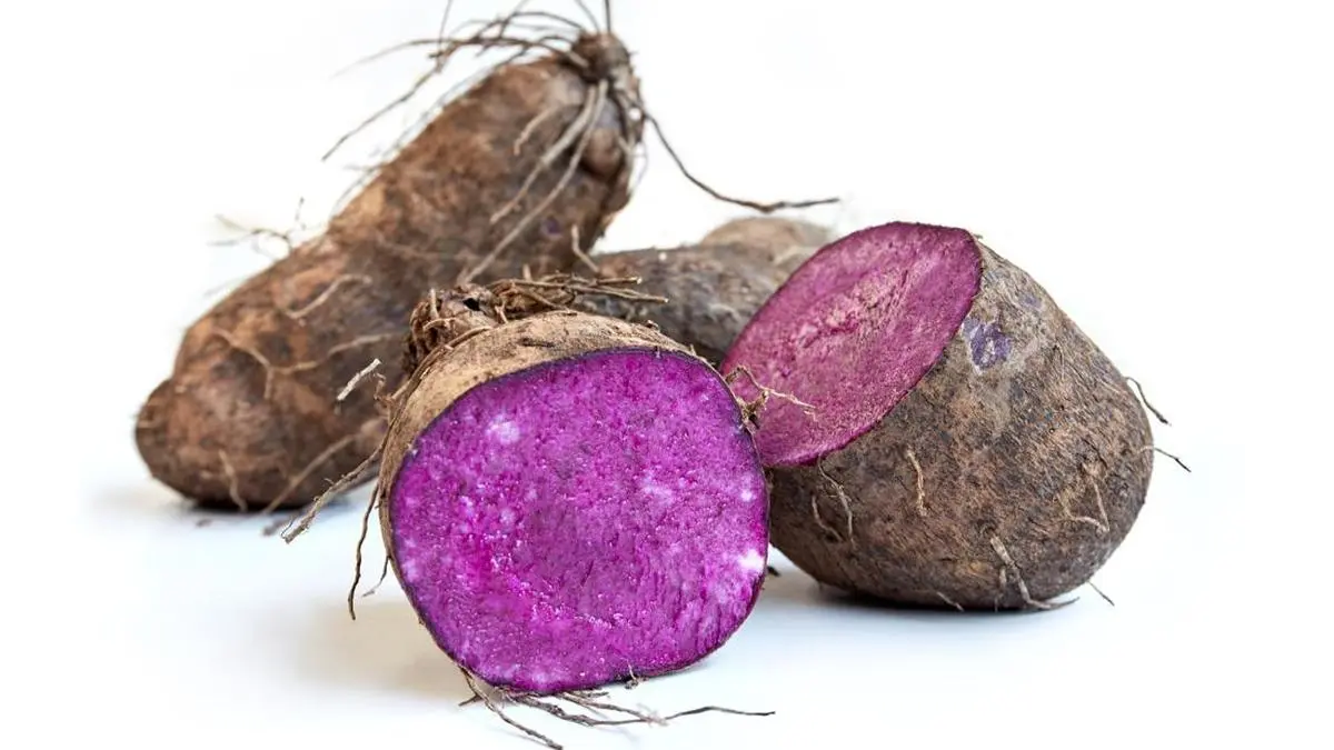 Warna Ungu Ube Memudar saat Dimasak? Ini Fakta Ilmiahnya