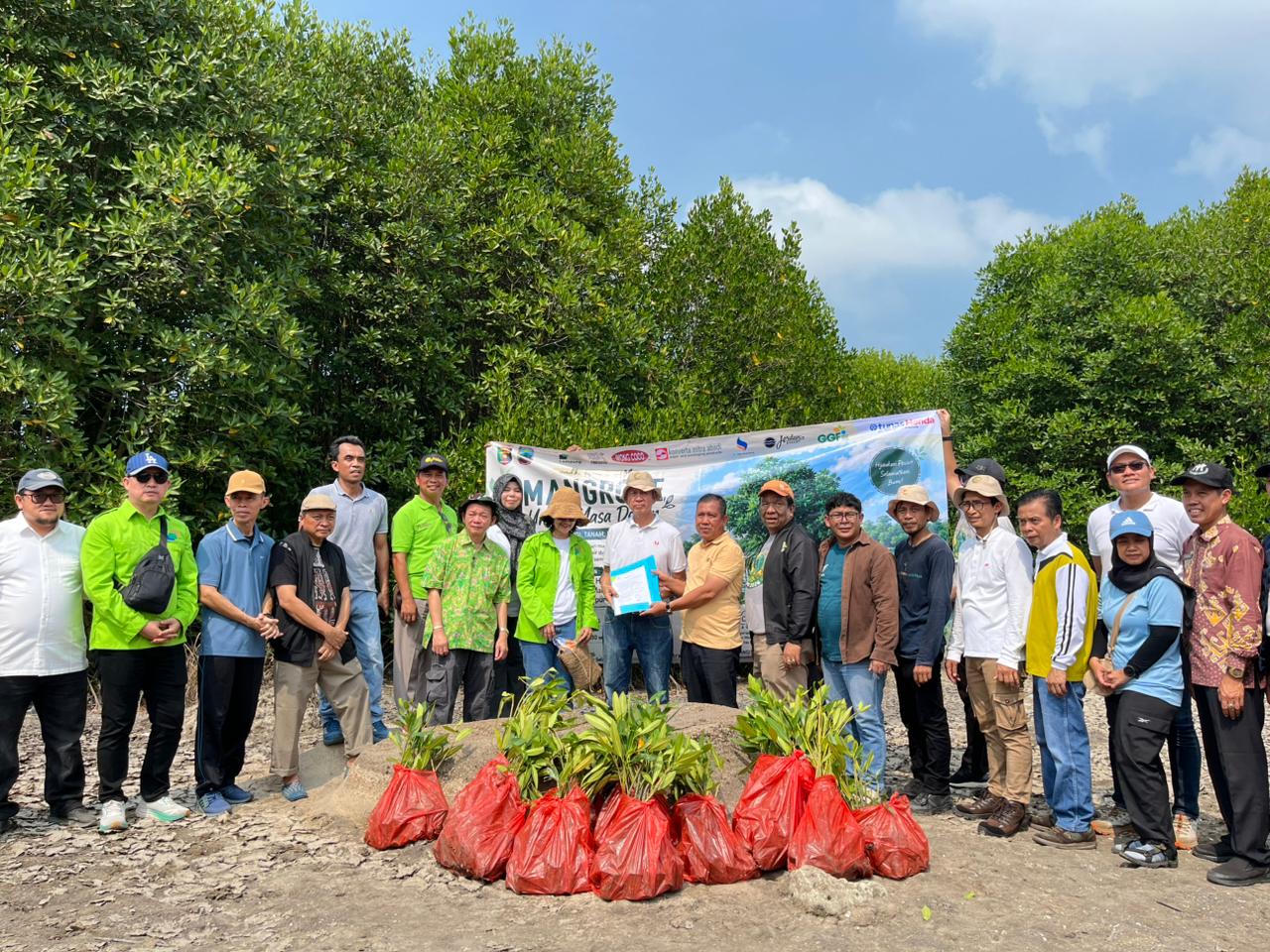 CSR Tambang dan Kolaborasi Infrastruktur: Dari Jalan ke Mangrove