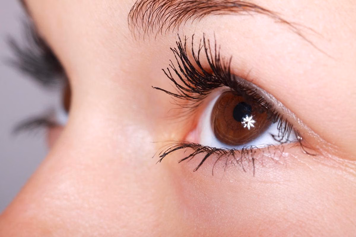 Bulu Mata Voluminous Tanpa Extension: Rahasia Curler dan Mascara