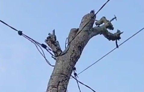 Kabel Listrik Berbahaya dan Rapuhnya Keselamatan Publik