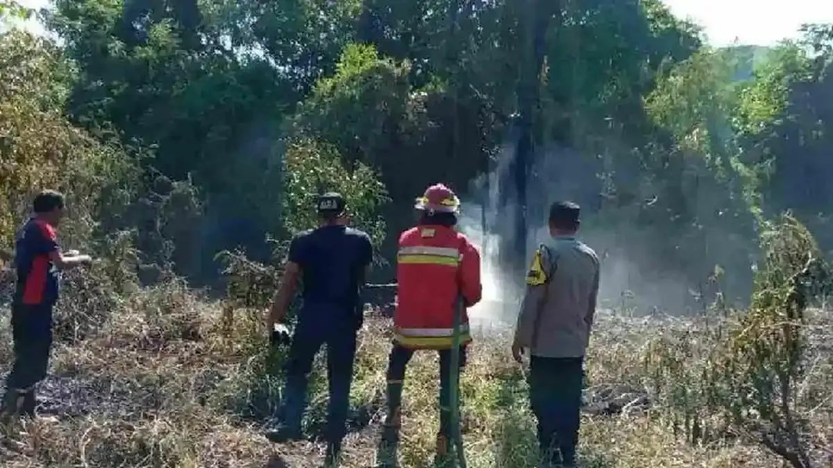 Tambora dan Cakung Episentrum Kebakaran Kota